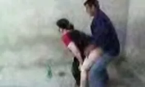 Uzbek matirite ploge ...